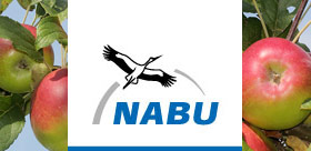 NABU